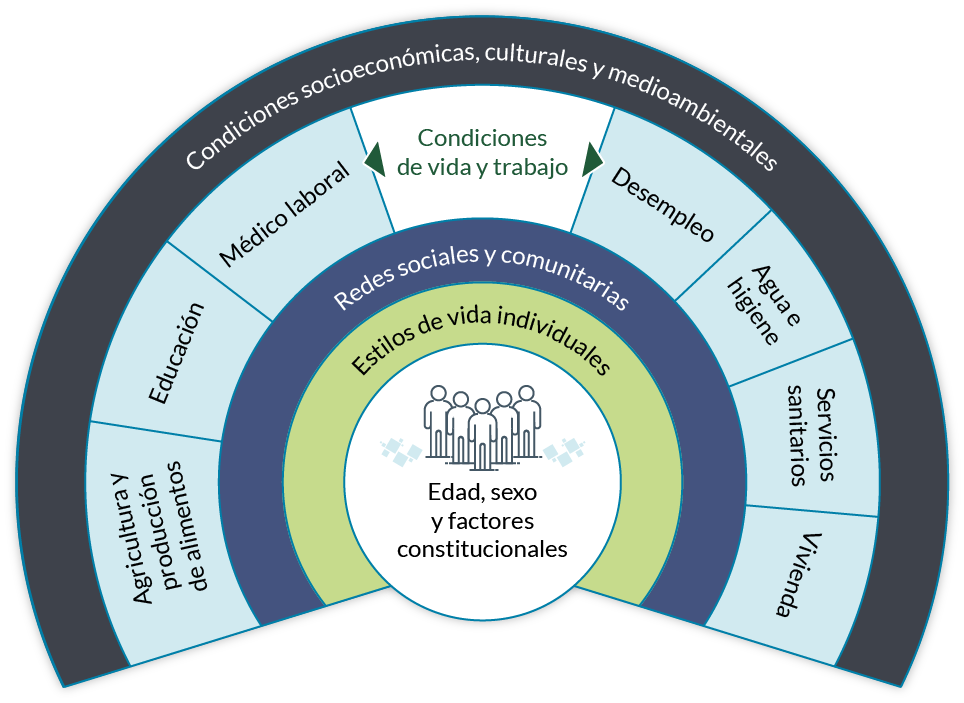 Esquema de factores que afectan la salud
